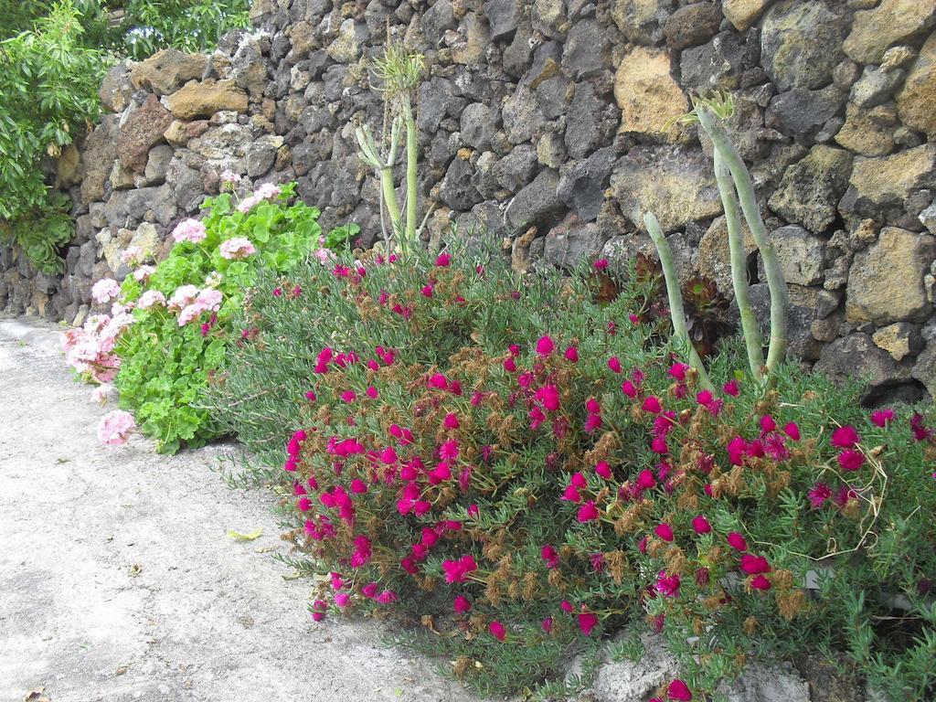 Casa Rural Abuelo Pancho Las Casas  Ngoại thất bức ảnh